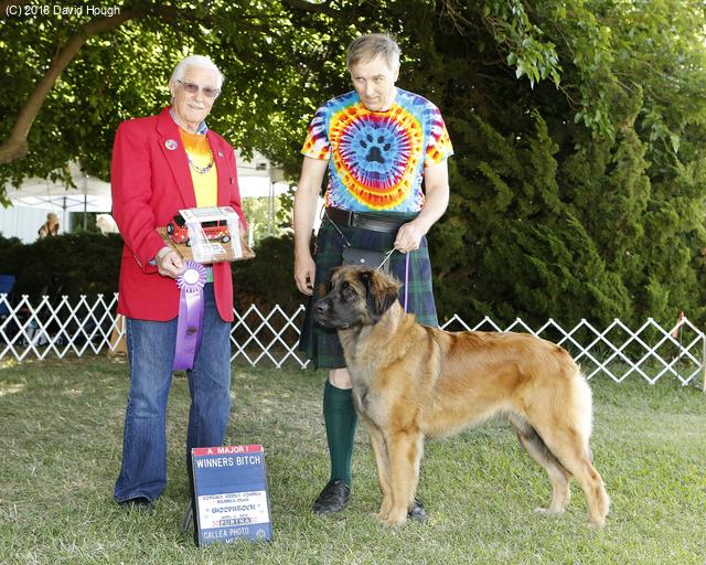 [Faraday winning her first major at Woofstock 2018.]
