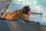 [Kepler in the pool at her first birthday party]