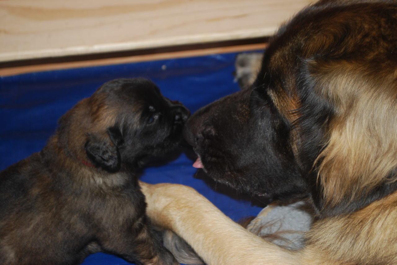 [Elliot at three weeks.]