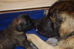 [Elliot at three weeks.]