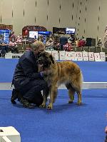 [Kepler at the AKC Nationals]