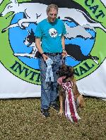 [Faraday at the AKC FastCAT Invitationals]